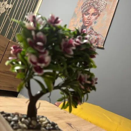 2 15 Seconds From Main Street Apartamento *