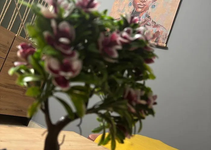 2 15 Seconds From Main Street Apartment *